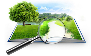 КОНКУРС ЦІНОВИХ ПРОПОЗИЦІЙ З ВИГОТОВЛЕННЯ ЕКСПЕРТНО – ГРОШОВОЇ ОЦІНКИ НА ЗЕМЕЛЬНУ ДІЛЯНКУ 