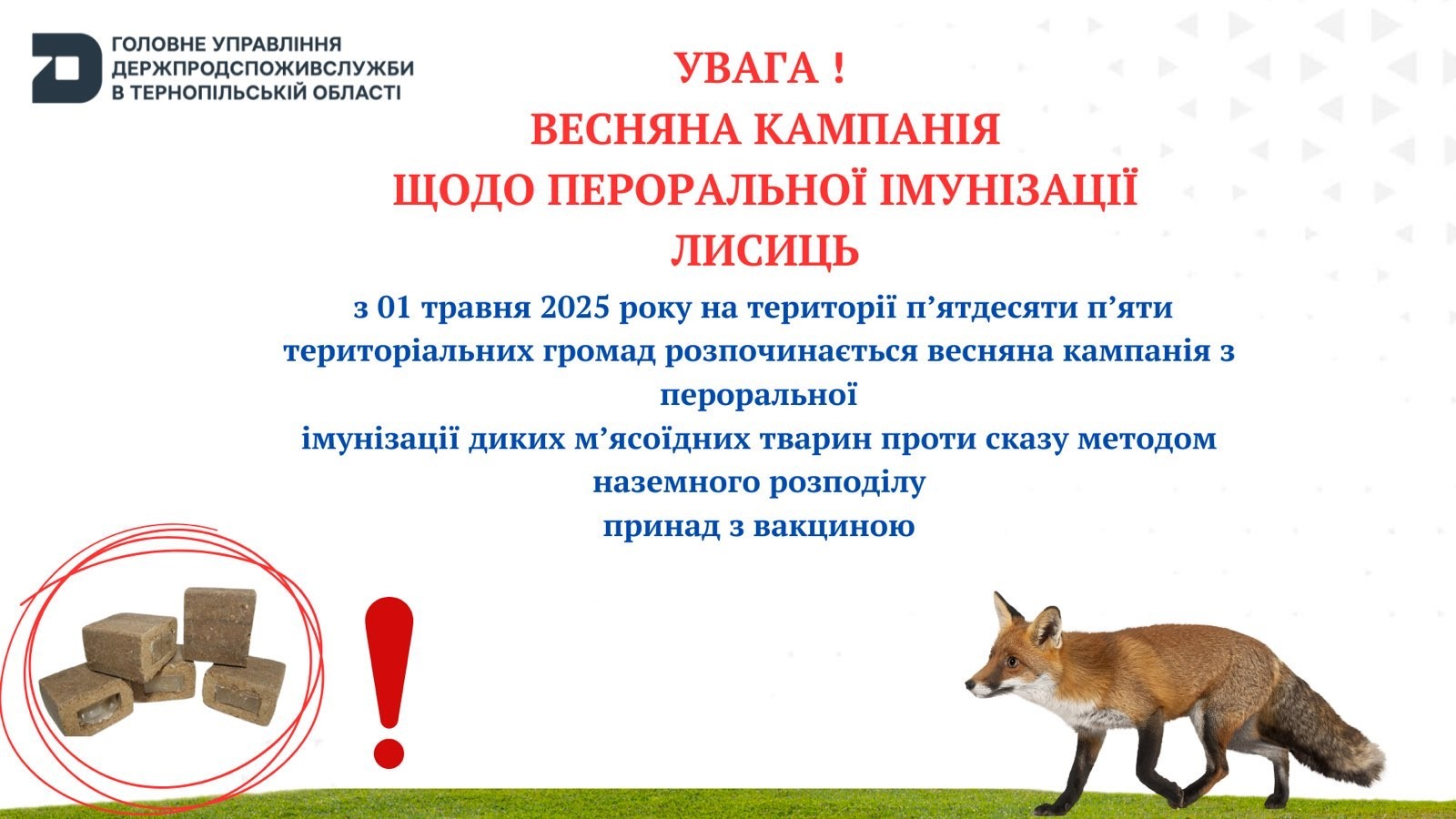 Тернопільщина: з 1 травня заплановане проведення весняної кампанії з пероральної імунізації диких м’ясоїдних тварин проти сказу