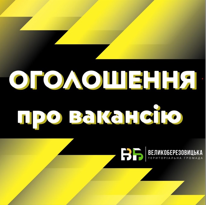 Острівський ліцей запрошує на роботу водія шкільного автобуса
